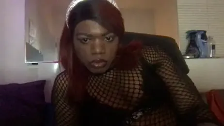 frenchiego webcam model stream image