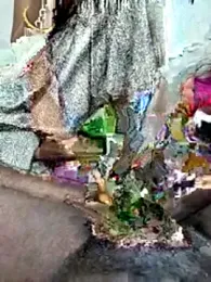 FeltedEuropium webcam model stream image