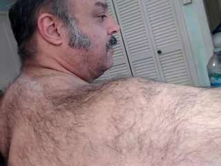 flmusclebearcub webcam model stream image