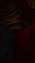 Romeo0juliet webcam model stream image