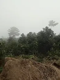 Menlike69 webcam model stream image