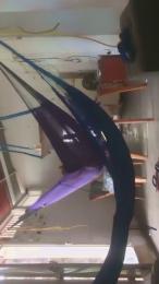 MONSTER999CUTE webcam model stream image