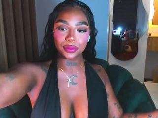 teerry webcam model stream image