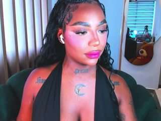 teerry webcam model stream image