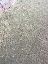 TitanNoir webcam model stream image