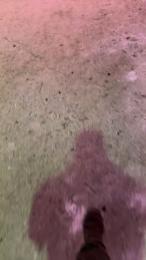 frank2400 webcam model stream image