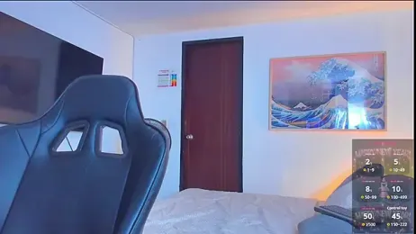RJBarto webcam model stream image