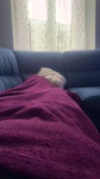 Lupo1986 webcam model stream image