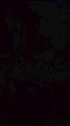 vogliadi6 webcam model stream image