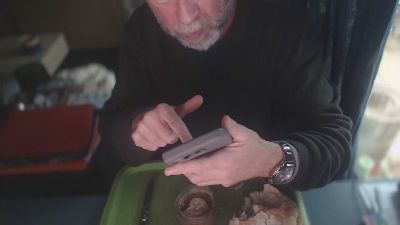 ptibear1 webcam model stream image