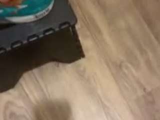 mlfoo webcam model stream image