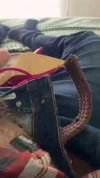 fallofelice2 webcam model stream image