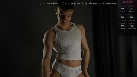 fromed webcam model stream image