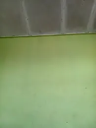 phumlanisanka webcam model stream image