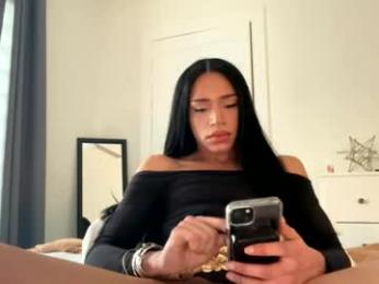 dynasty313 webcam chaturbate model stream image