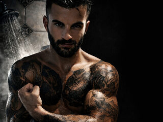 Slivester Stallion webcam flirt4free model stream image