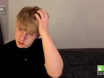 wesides webcam model stream image