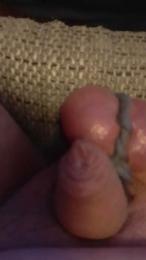 tinydick30 webcam model stream image