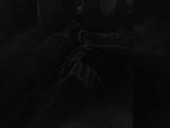 TISE webcam model stream image