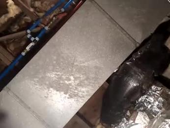 bharv69926743 webcam chaturbate model stream image