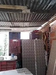 hoteder webcam model stream image