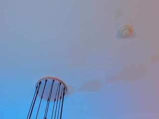 anisabinnaz webcam model stream image