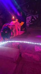 miichellemalv webcam model stream image