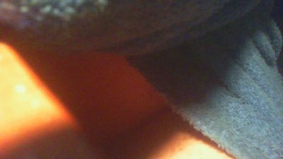 allblond1 webcam model stream image