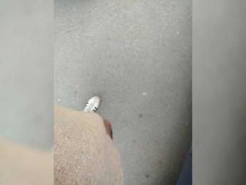 KrasivieNojki webcam model stream image