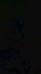 Picoletras webcam model stream image