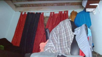 dominathewolff webcam model stream image