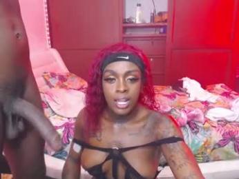 butterfly_rossalia webcam model stream image