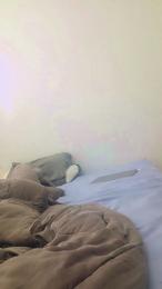 Needtopleaseu webcam model stream image