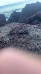 Welltim88 webcam model stream image