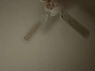 donniemakesusquirt webcam model stream image