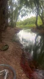 Laoquedad webcam model stream image