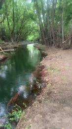 Laoquedad webcam model stream image