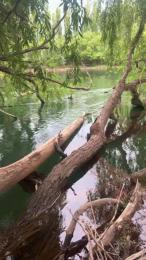 Laoquedad webcam model stream image