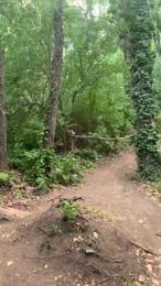 Laoquedad webcam model stream image