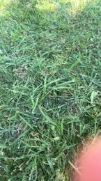 Laoquedad webcam model stream image