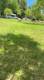 Laoquedad webcam model stream image