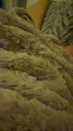 Prettygirl123 webcam model stream image