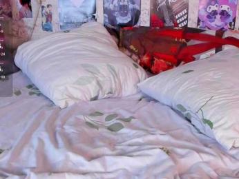 Ice-Gerda webcam model stream image