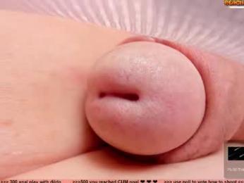 kpetra webcam model stream image