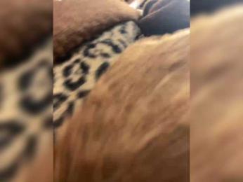 Lisa1225 webcam bongacams model stream image