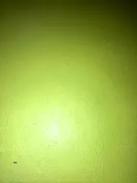 triplebeast webcam model stream image