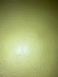 triplebeast webcam model stream image