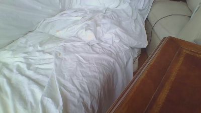 obviousproduct webcam model stream image