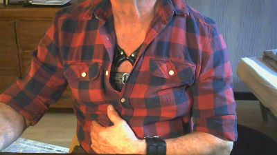 Longdorn webcam model stream image