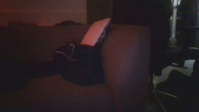 LiNi1984 webcam model stream image